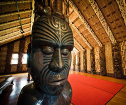 Bezoek van de Te Papa en de musea van Nieuw-Zeeland